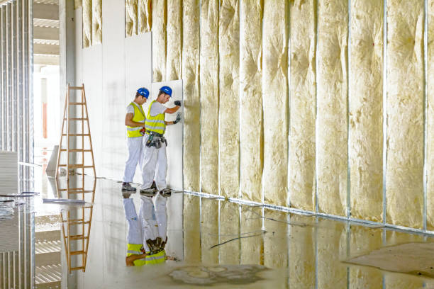 Types of Insulation We Offer in Green Springs, OH